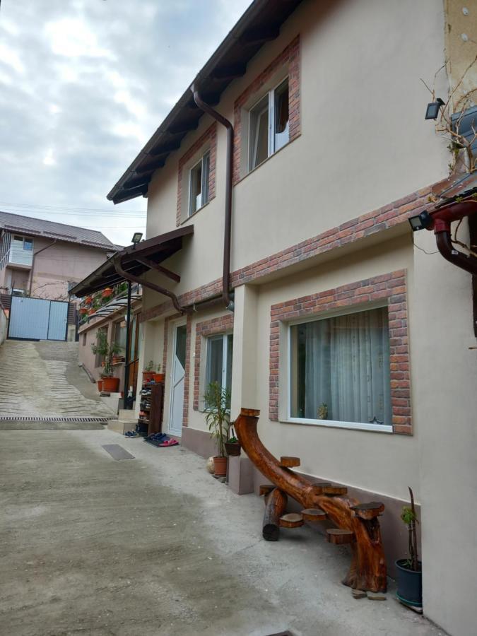 Casa Rariana Hotel Calimanesti Luaran gambar