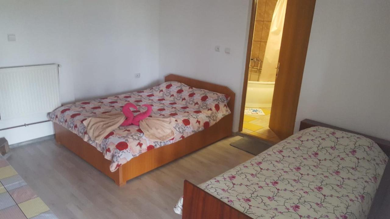 Casa Rariana Hotel Calimanesti Luaran gambar